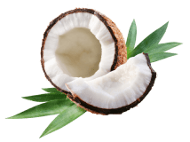 coconut