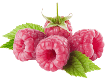 raspberry